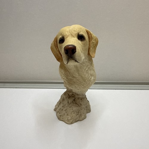 Sherratt simpson labrador - simpson,