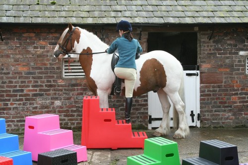 Heavy duty step - step, horse