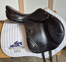 16.5" Equipe Expression