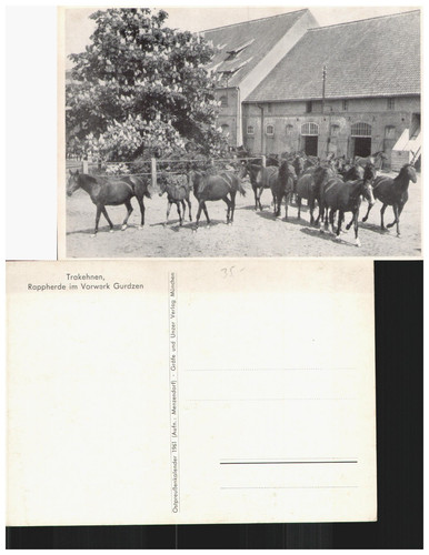 Postcard gurdzen vorwerk - postcard,
