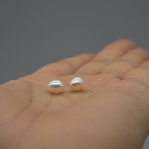 Freshwater teardrop rice - teardrop,