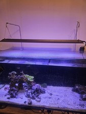 Maxspect RSX RS 200 Reef