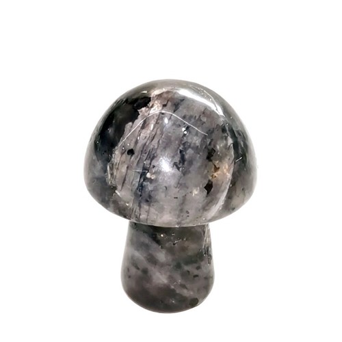 10pcs mushroom shaped natural - mushroom,