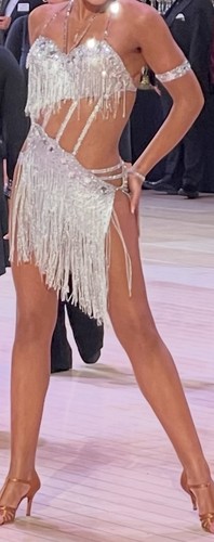 Silver adult latin - silver, dress