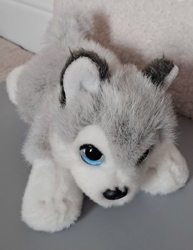 Keel toys husky plush toy - plush,