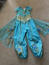 Disney Store Aladdin Princess