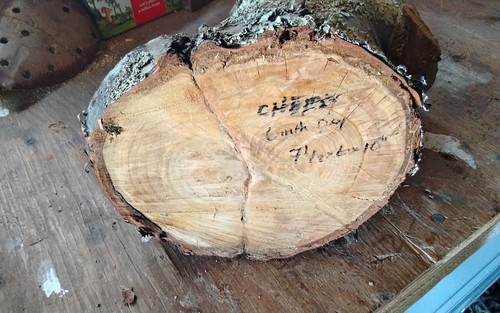 Cherry crotch bowl blank wood - bowl,