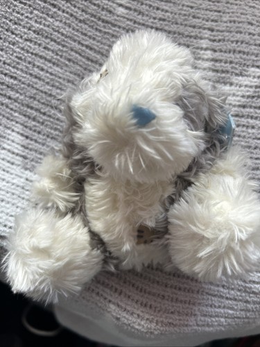 Blue nose friends fluffy the - fluffy,