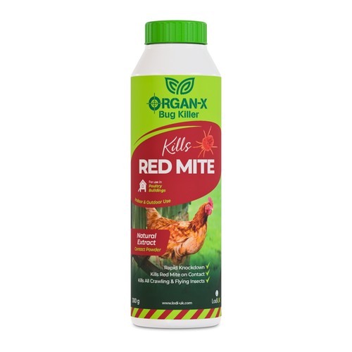 Lodi organ red mite insect - mite,