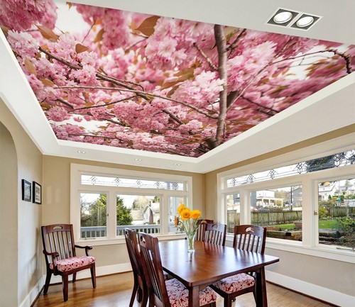Pink cherry blossom 219 - pink,