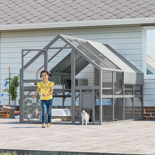 Large outdoor cat enclosure - cat,