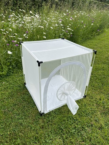 Insect rearing cage - rearing,