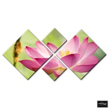 Floral Flowers BOTANICAL   BOX