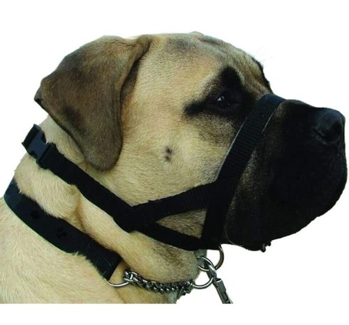 Kumfi dog alter walking aid - kumfi,