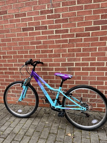 Apollo vivio mountain bike - vivio,