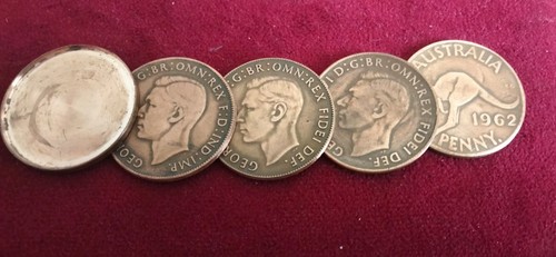 Australian penny deans shell - deans,