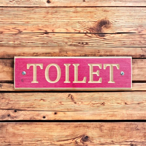 Toilet door sign pink painted - toilet,