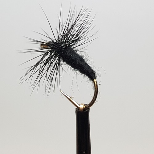 Black spider fly fishing - spider,