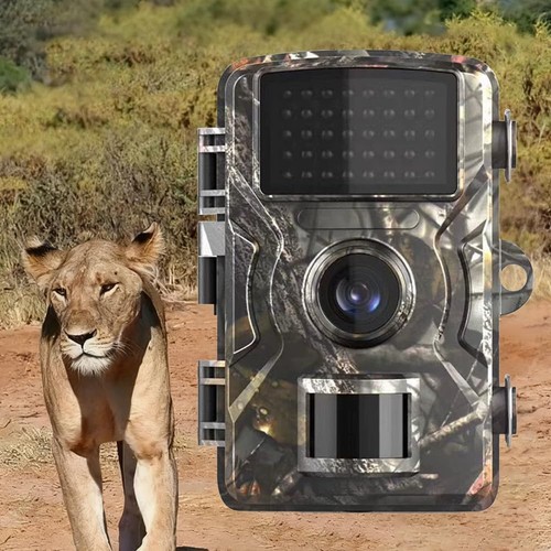 Wildlife hunting trail camera - hunting,