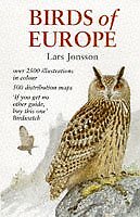 Birds europe the with - birds,