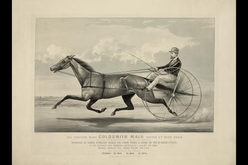 The trotting mare - , goldsmith