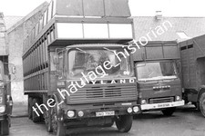 THH Truck Photos - Leyland -
