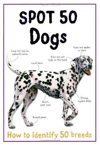 Spot dogs large - dogs, (large