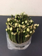 500 Willow Cuttings 12” Long, 10% free, Fast Growing (Hedging, Logs, Windbreak)