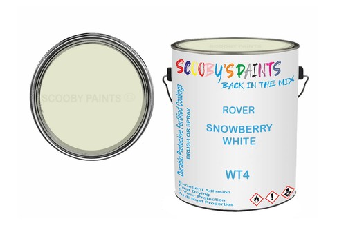 Classic paint for - paint,