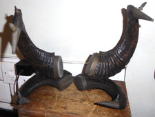 Remnants of Anglo Indian Rams