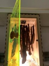 Biltong Box Maker, Fan & Lamp