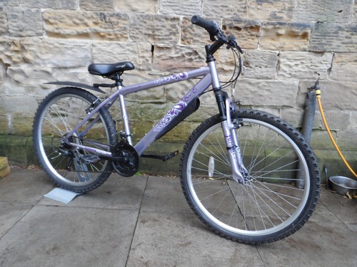 Apollo jewel hardtail mountain - apollo,