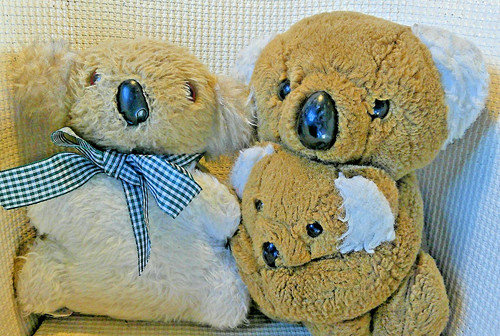 Vintage soft toy koala - x,