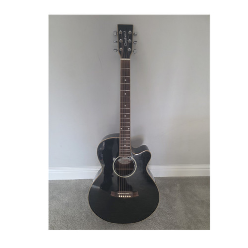 Tanglewood evolution tevj1b - evolution,