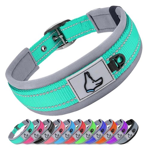 Padded reflective dog - padded, collar