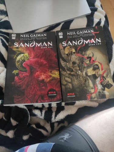 The sandman book - the, and