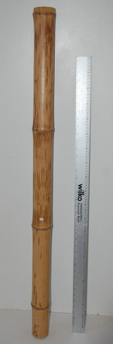 Bamboo poles reptiles craft - bamboo, poles,