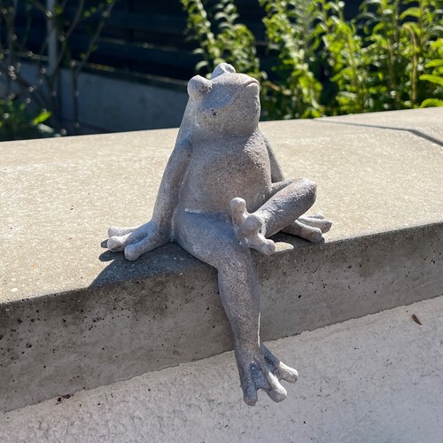 Frog garden ornaments and - ,