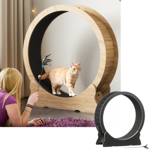 Mondeer cat exercise wheel - cat,