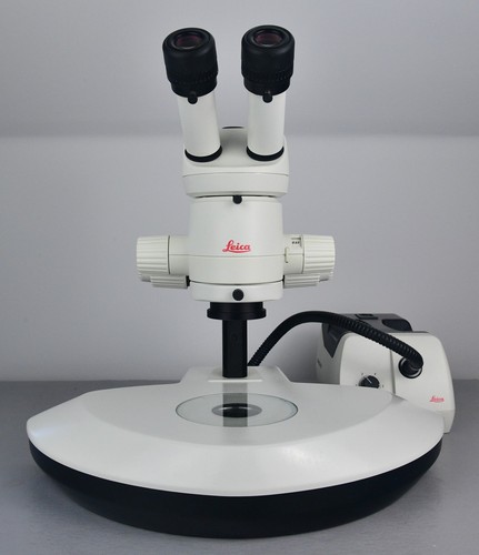 Leica mz6 microscope - leica,
