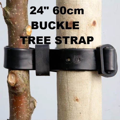 Heavy duty tree ties - tree,
