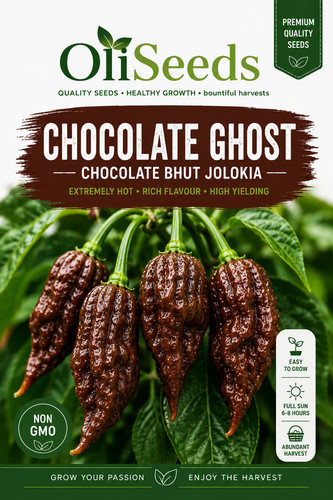 Chocolate naga jolokia - jolokia, chilli