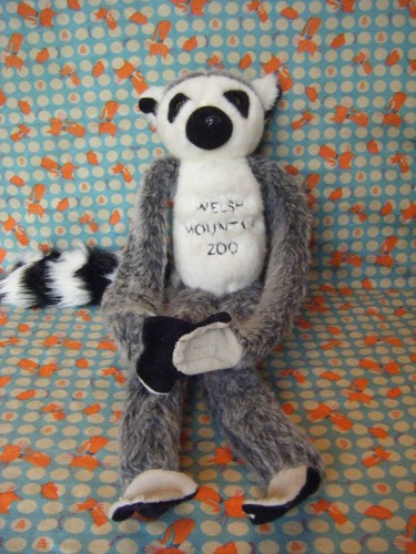 Welsh mountain zoo hanging - welsh,