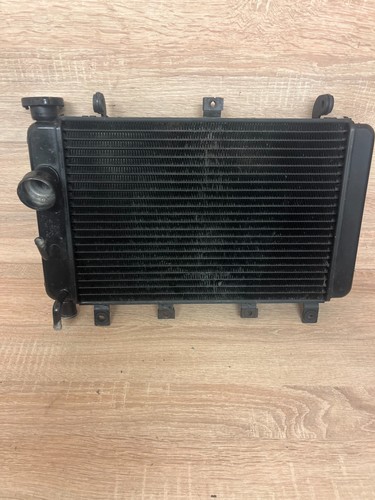 Triumph tt600 radiator thsr5 - triumph,