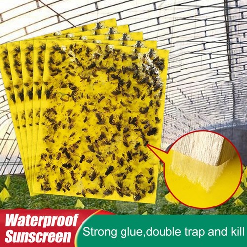 20pcs yellow sticky fly - sticky, trap