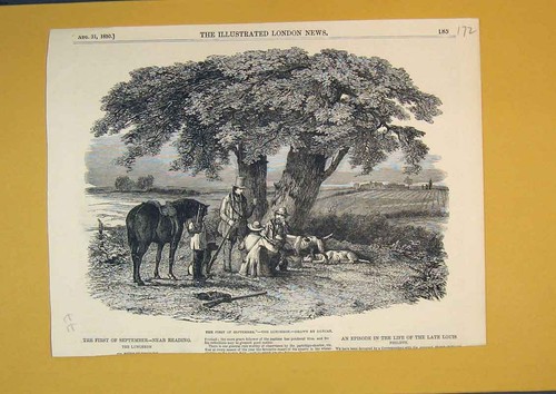 Old antique print - old,