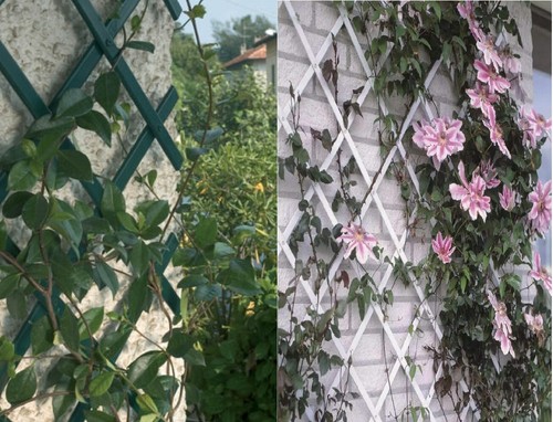 Expanding garden pvc plastic - garden,