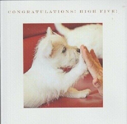 Congratulations high five west - high,
