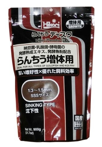 Hikari ranchu disc - , gold