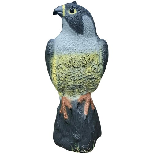 Peregrine falcon decoy - peregrine,